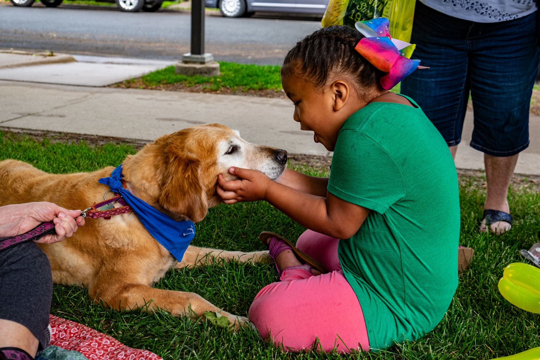 Library Kickoff Therapy dog